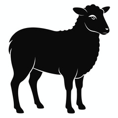 Black Silhouette of a Sheep with Woolly Texture Standing on White animal livestock