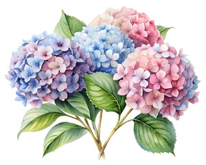 Watercolor Hydrangea Bouquet in Pastel Colors on Transparent Background