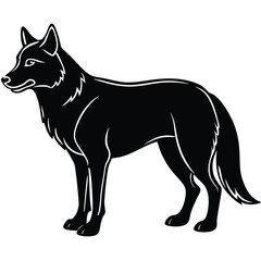 Black silhouette of a standing wolf with white outlines on a white background vector illustration