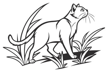 Cat standing in grass