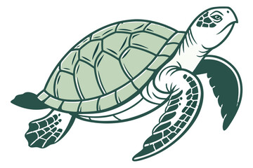 Sea turtle illustration