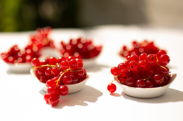 Close-up of glossy red currants in white bowls with shallow depth of field, blurred red berries in the background, photographed in sunlight.