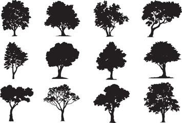 Architectural Tree Silhouette Vector Set – CAD Elevation Line Drawings of Oak, Maple, and Tropical Landscape Design