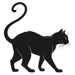 black cat vector illustration
