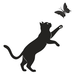 vector illustration of a cat