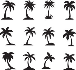 Black palm tree set vector illustration on white background silhouette art black white stock illustration