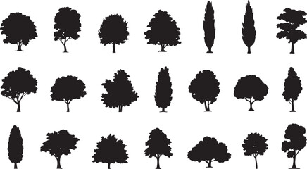 tree silhouettes