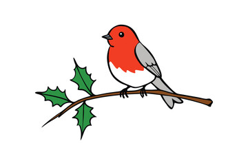 Christmas Robin Bird Sitting on Holly Branch with Green Leaves Vector illustration.