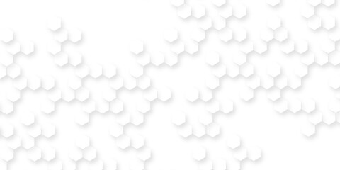 Minimalist white abstract background with soft gradients, subtle textures, light shadows, modern clean design, versatile for web, print, and creative projects.