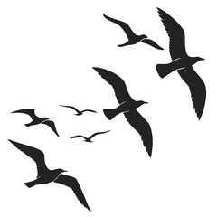 Obraz premium Flock of Black Seagull Silhouettes Flying in Formation on White Background bird