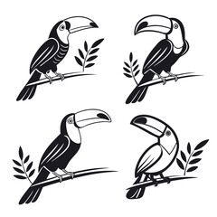 Four Black and White Toucan Bird Silhouettes on Branches tropical jungle