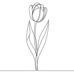 Single-Line Tulip Drawing &ndash; Minimalist Continuous Line Art Flower