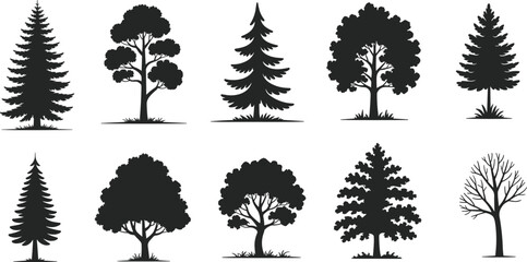 Black Tree Silhouette Set, Vector Nature Trees, Landscape Forest Design Elements, Evergreen and Deciduous Trees, Woodland Icons, Park Tree Graphic