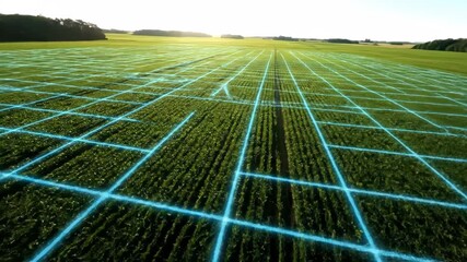 Aerial view green agricultural field with digital grid overlay showcasing precision farming technology crop monitoring and farmland management - Powered by Adobe