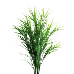 Fototapeta premium Lush Green Grass Arrangement isolated on white or transparent background, png clipart, design element. Easy to place on any other background.