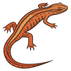 Naklejka premium Illustration of a bright orange newt with yellow stripe
