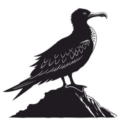 Silhouette of a Bird Perched on a Rock standing