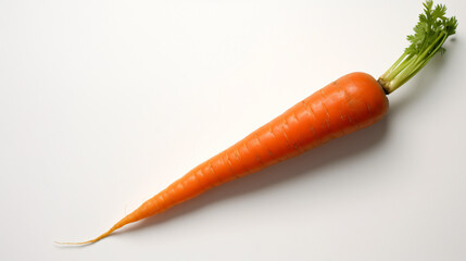 Fresh carrot with green stem