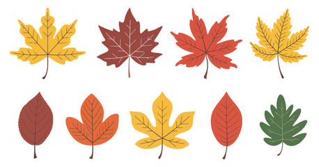 Flat Autumn Leaves Illustration – Colorful Fall Leaf Collection Clipart