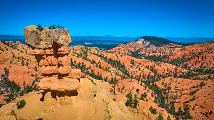 Red Canyon Hoodoo and Pine Covered Ridges under Blue Sky Utah Landscape View