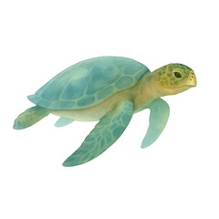 Serene Watercolor Sea Turtle Illustration, Calm Aquatic Life, Isolated White Background.