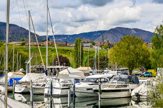 Cortaillod, Petit-Cortaillod, Neuenburgersee, Hafen, Boote, Seeufer, Uferweg, Naturschutz, Weinberge, Weindorf, Wassersport, Strand, Schilf, Neuenburg, Fr&uuml;hling, Schweiz