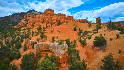 Fototapeta premium Aerial Red Canyon Hoodoo Formations and Pine Forest Utah Landscape