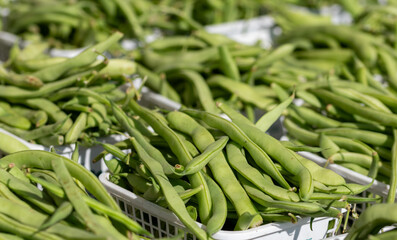 green beans on a market