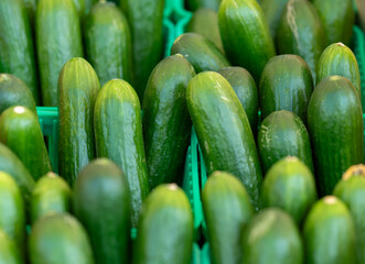 fresh cucumbers background
