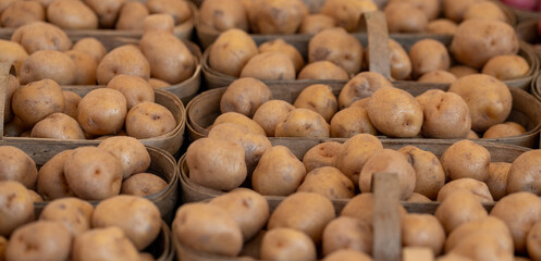 potatoes in baskets at market