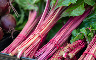 bunches of rhubarb at market