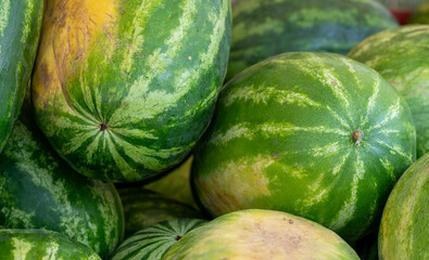 watermelons at the market
