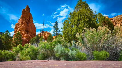 Red Rock Hoodoo Formation With Desert Vegetation and Blue Sky Ground Level