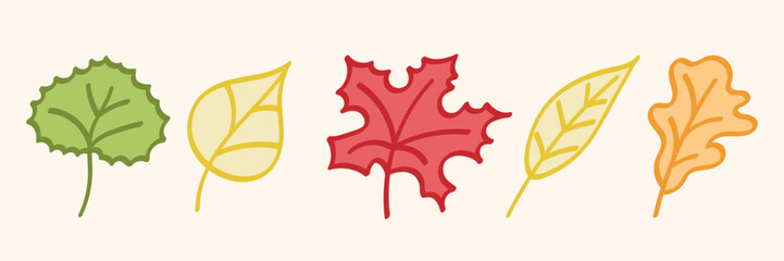 Obraz premium Set of autumn leaves. Vector illustration