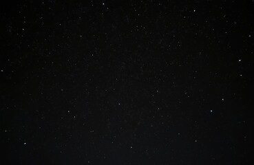 Stars, constellations twinkle in vast black night sky during summer. Countless bright points of light fill darkness, creating magical, cosmic scene. Celestial display offers sense of wonder, infinite