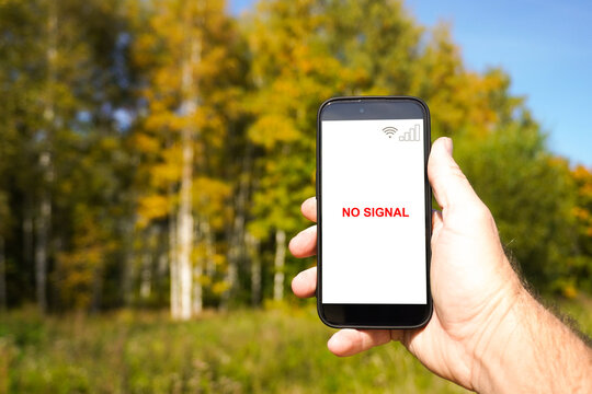 Hand holding smartphone with no signal in forest during fall season