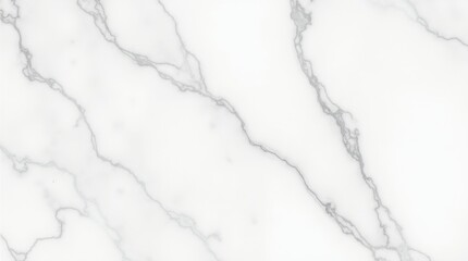 Fototapeta premium Classic marble vein structure, white and gray color palette