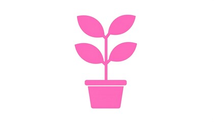 Pink plant in pot