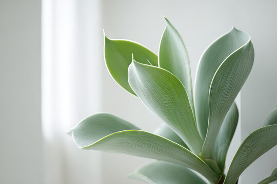 captivating scene where ai enhances minimalist for blogger focusing on single object that radiates positivity and