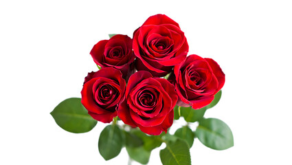 An exquisite collection of five ruby red roses, isolated on transparent background, showcasing their velvety texture and vibrant color, symbolizing love, passion, and beauty in a simple yet elegant ar