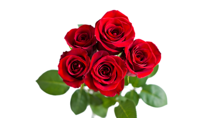 An exquisite collection of five ruby red roses, isolated on transparent background, showcasing their velvety texture and vibrant color, symbolizing love, passion, and beauty in a simple yet elegant ar