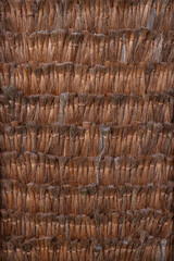 Abstract Texture of a Handwoven Palm Wall as a Natural Background