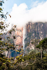 worlds tallest waterfall, Angel Falls in Canaima National Park, Venezuela