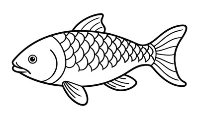 common carp fish line art vector illustration