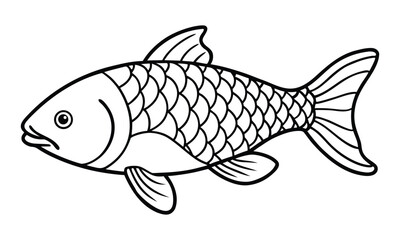 common carp fish line art vector illustration
