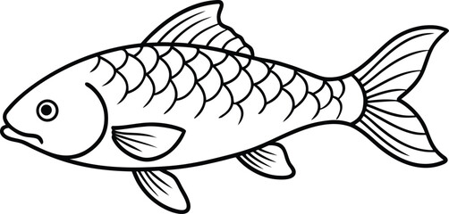 Common carp fish outline vector, Common carp coloring book page line art drawing vector illustration