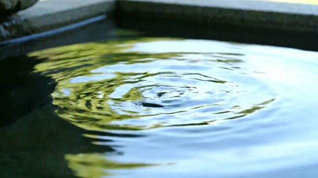 A close-up of concentric ripples spreading across the surface of calm water in a stone basin, reflecting green foliage.