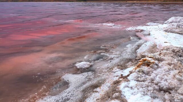 Kuialnyk Estuary, black dust on the surface of water and salt, salt Sodium Chloride crystallized