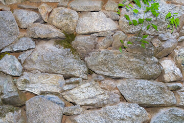 Old stone masonry wall made of irregular granite rocks with moss and small green plants growing between cracks