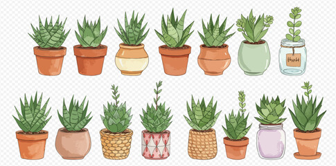 A charming collection of watercolor illustrations featuring various succulent plants in diverse decorative pots and jars.